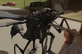 INFESTATION1.jpg
