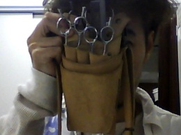 Snapshot_20120323.JPG