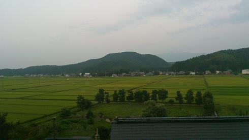 DSC_1686.JPG